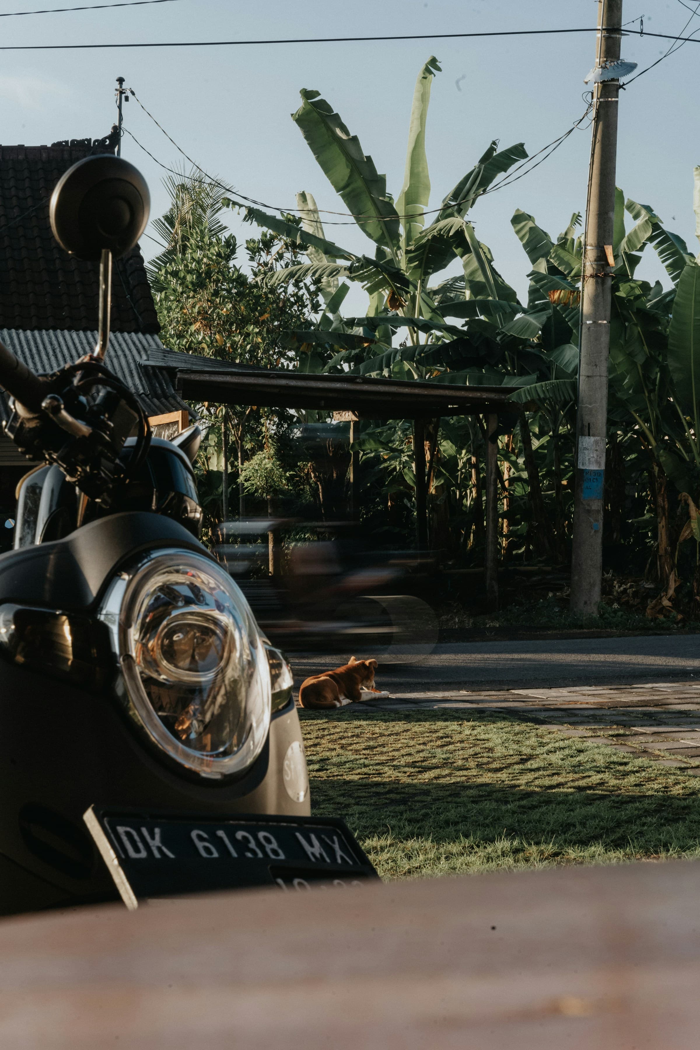 Close-up of a scooter's headlamp and mirror on a quiet Bali village street